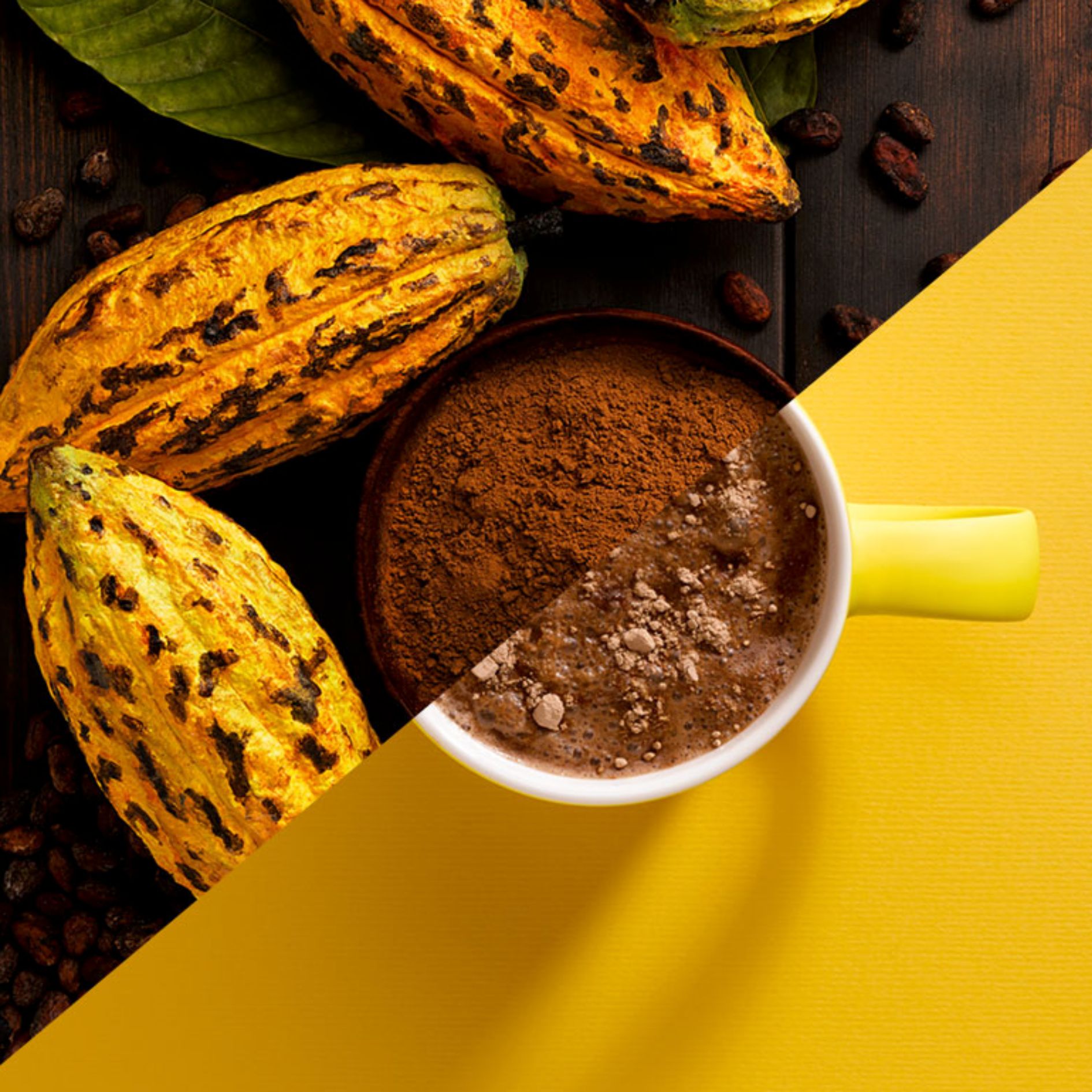 ColaCao_Cacao